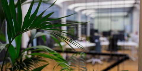 Офис с перспективой: инвестиции в пространство, которое не устареет