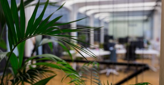 Офис с перспективой: инвестиции в пространство, которое не устареет